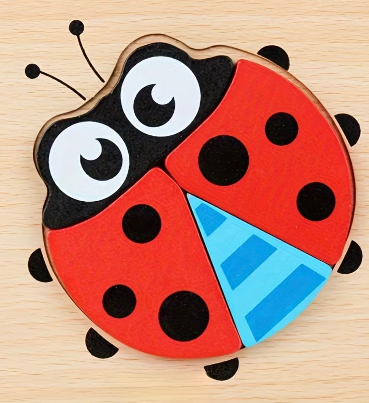 Ladybug Wooden Puzzle